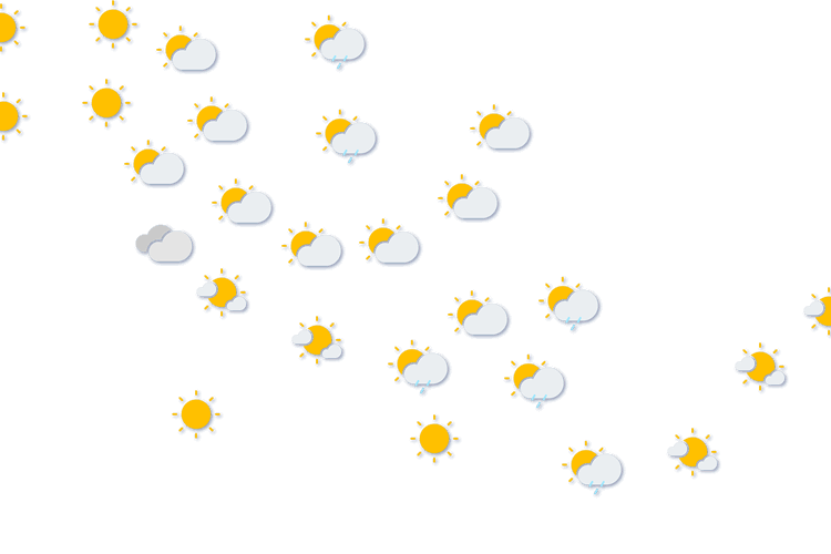 Forecast