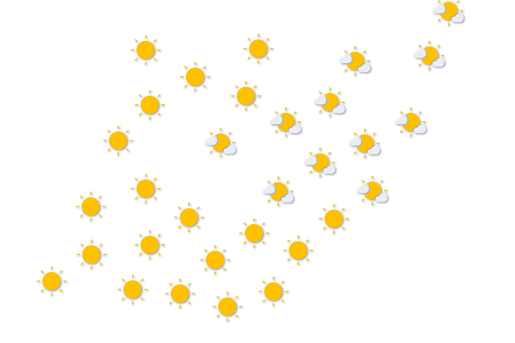 Forecast