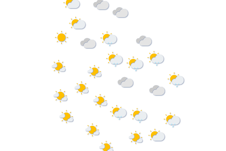 Forecast