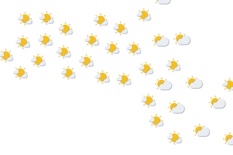 Forecast