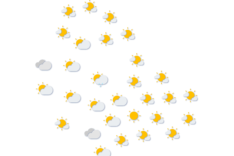 Forecast