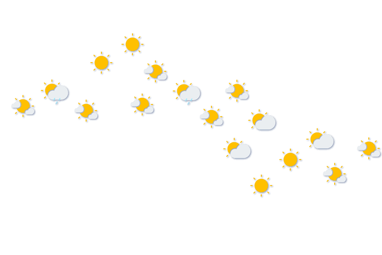 Forecast