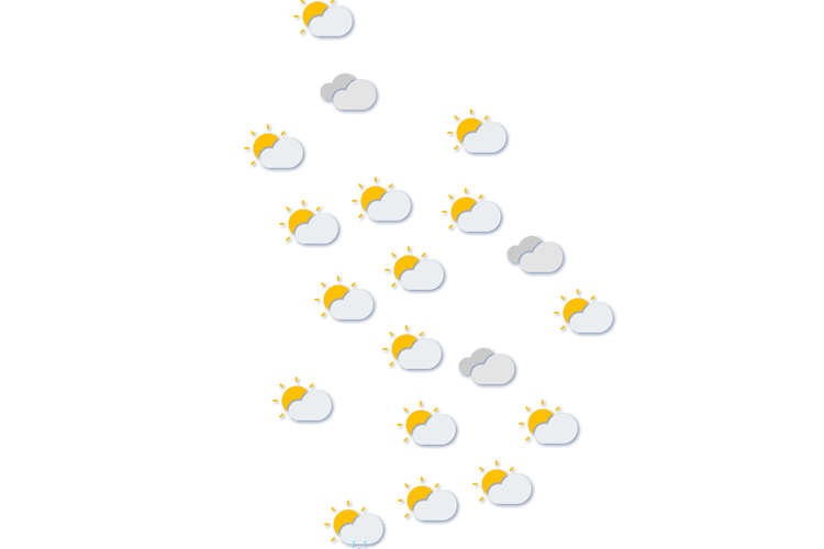 Forecast