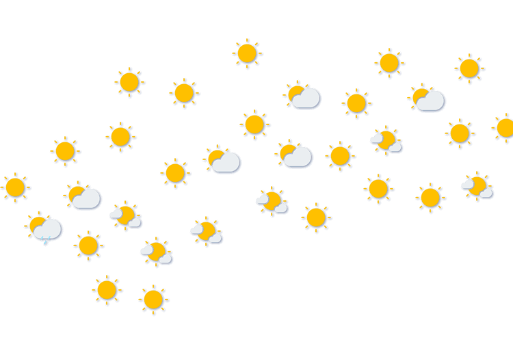 Forecast