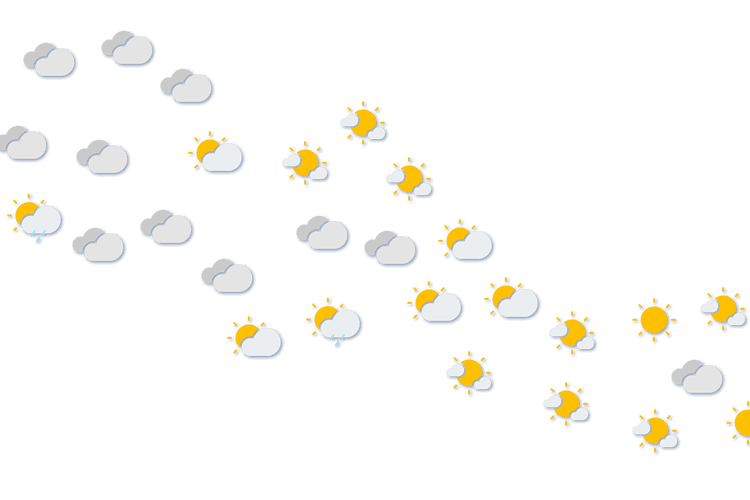 Forecast