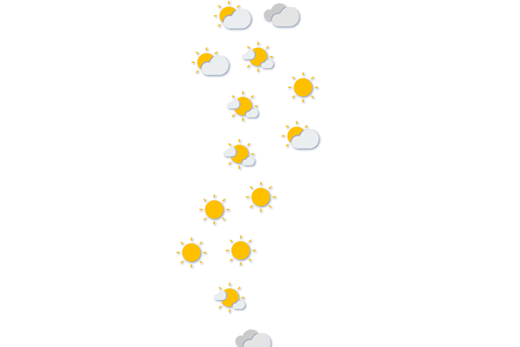Forecast