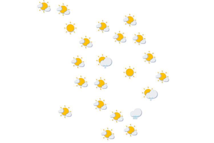 Forecast