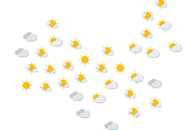 Forecast