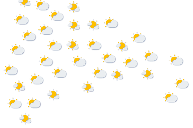 Forecast