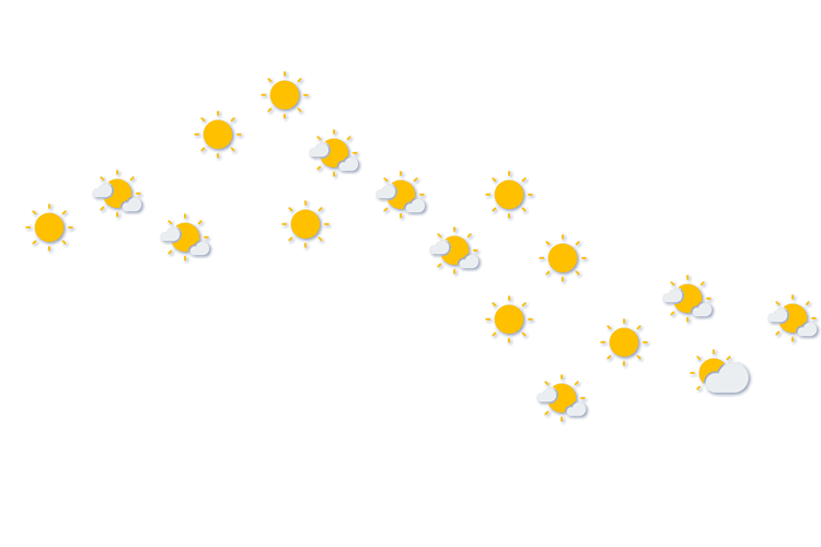 Forecast