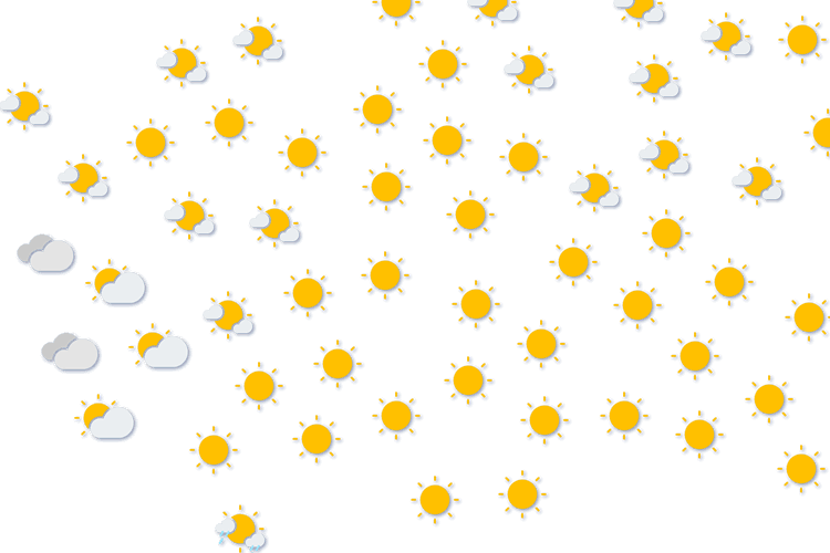 Forecast