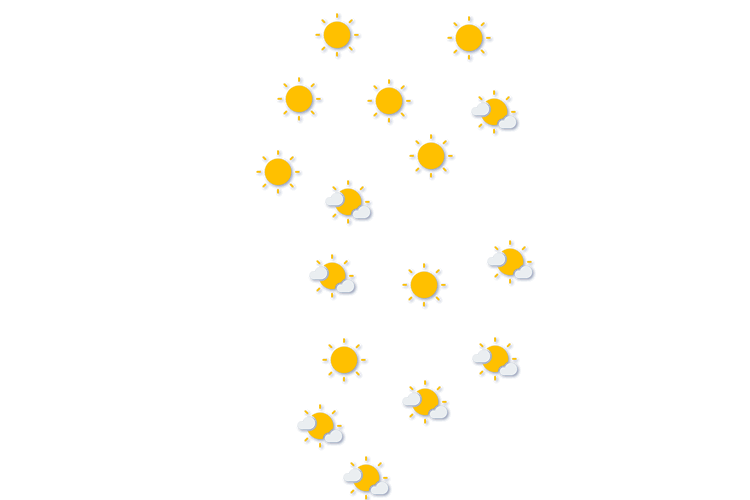 Forecast