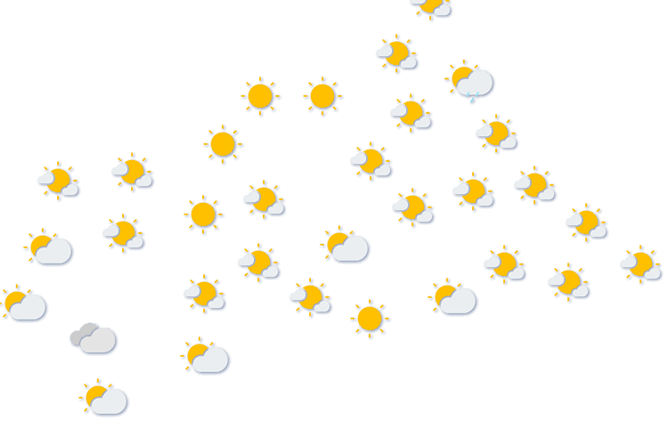 Forecast