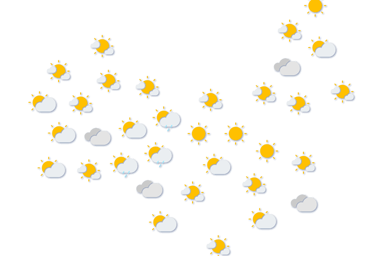 Forecast