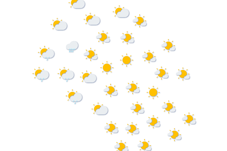 Forecast