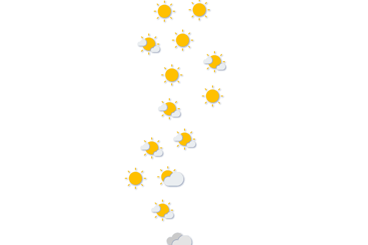 Forecast