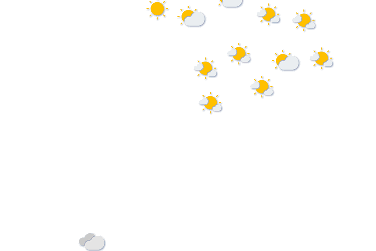 Forecast