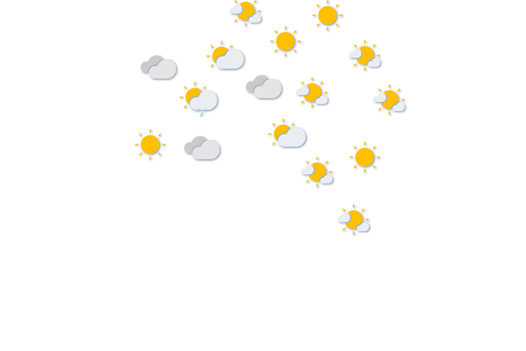 Forecast