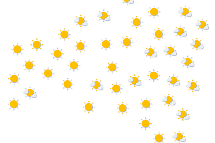 Forecast