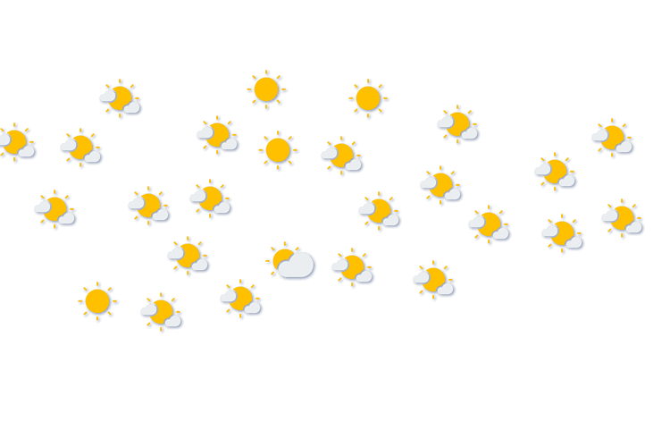 Forecast