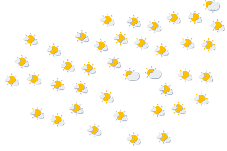 Forecast