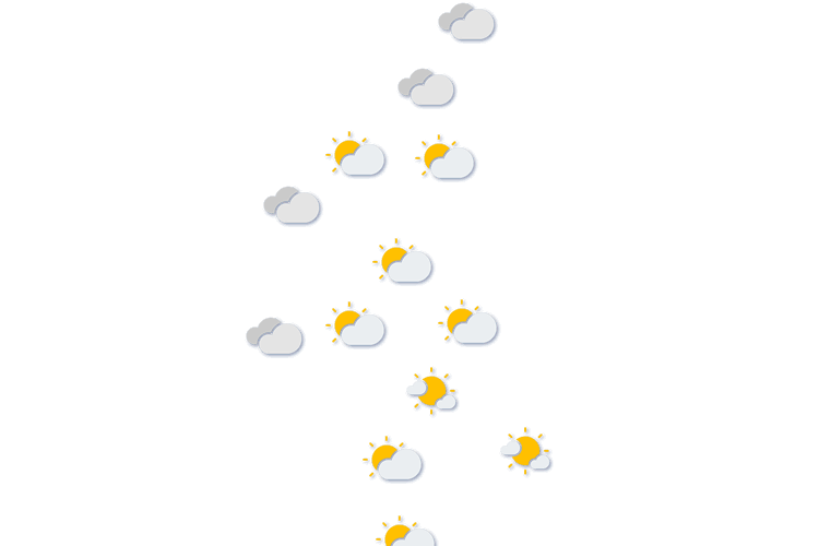 Forecast