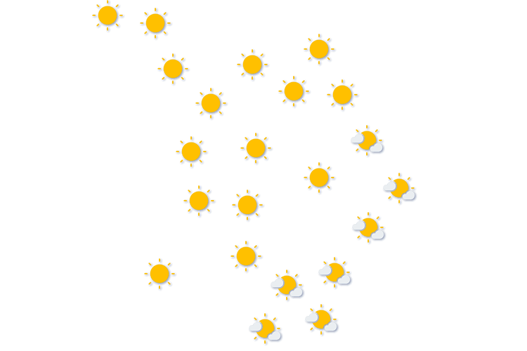 Forecast