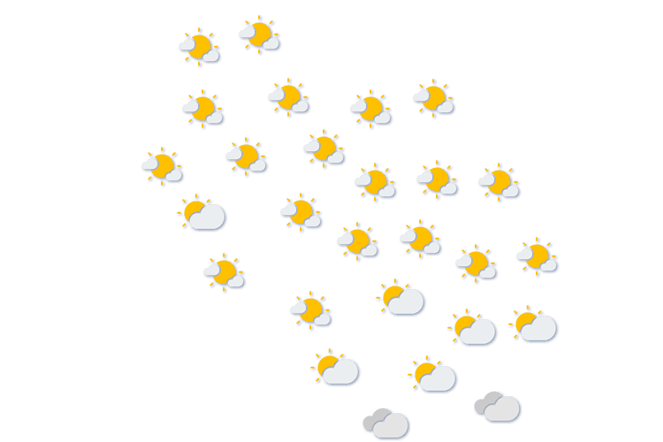 Forecast