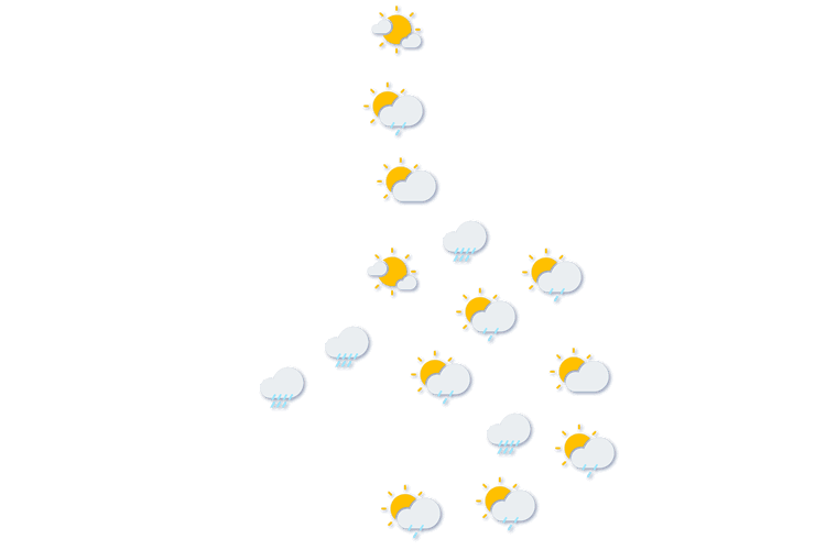 Forecast