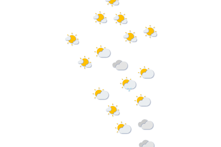Forecast