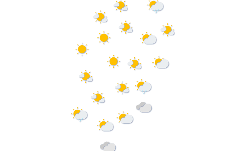 Forecast