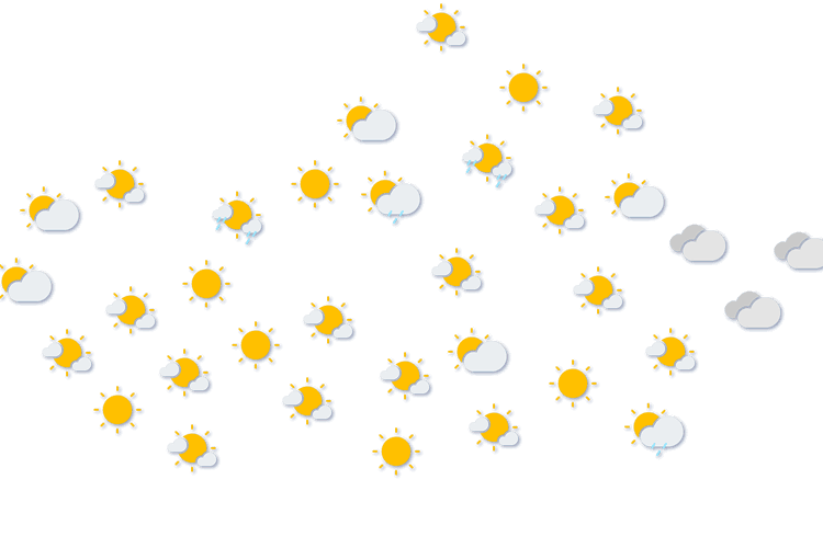 Forecast