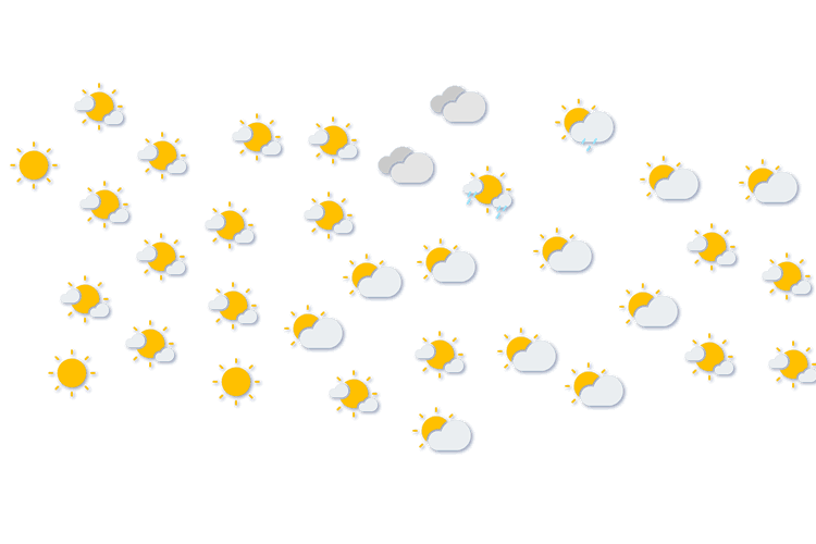 Forecast