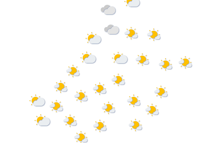 Forecast
