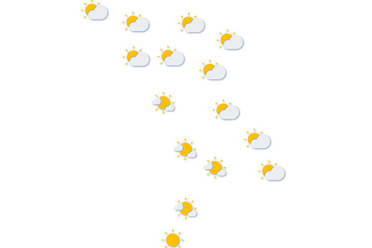 Forecast