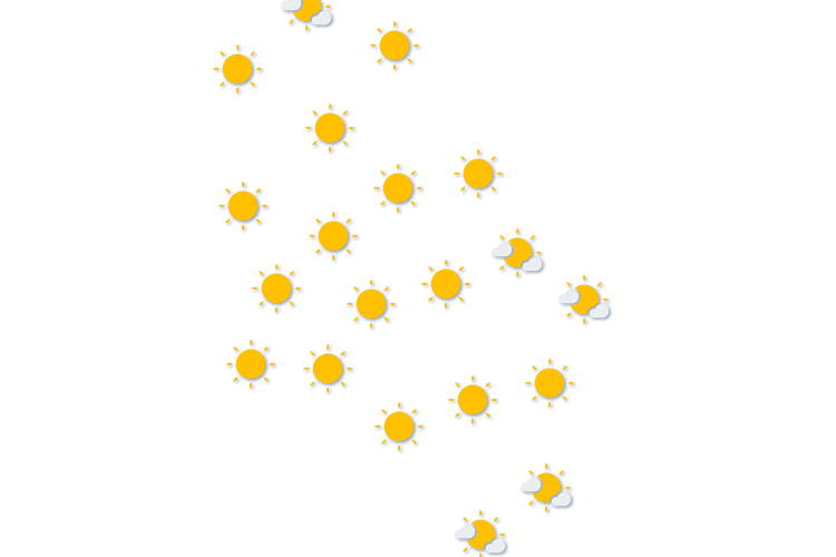Forecast