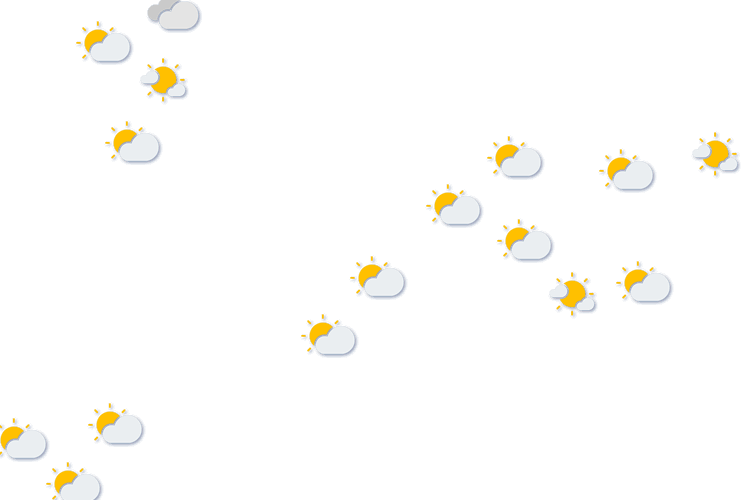 Forecast