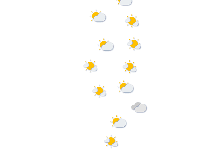 Forecast