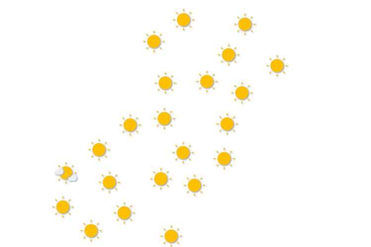 Forecast