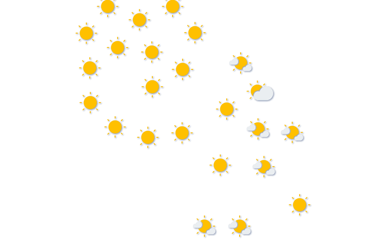 Forecast