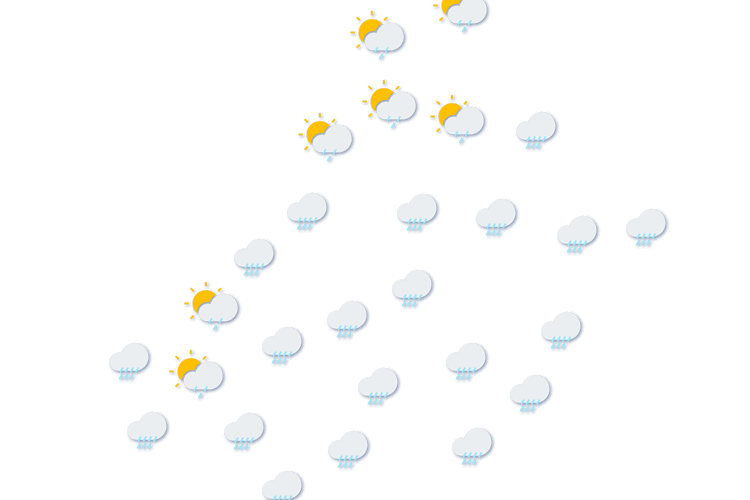 Forecast