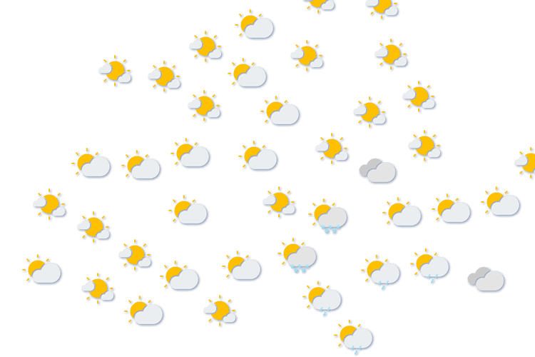 Forecast