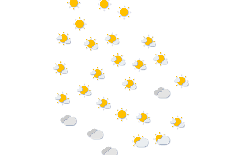 Forecast