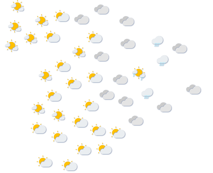 Forecast