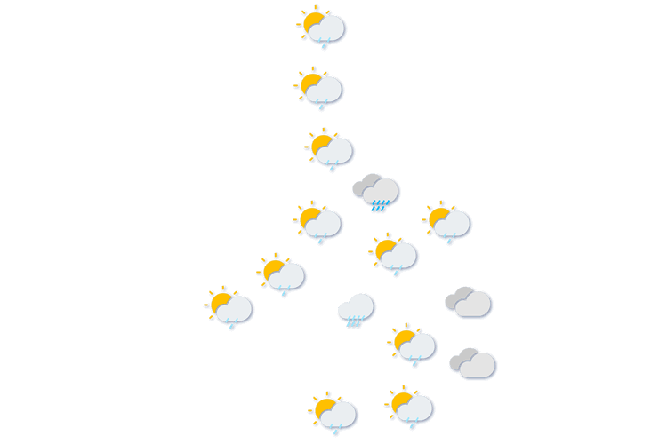 Forecast