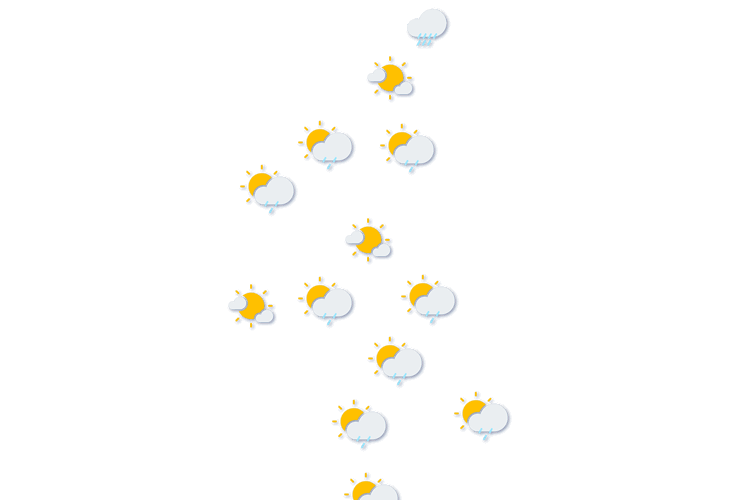Forecast