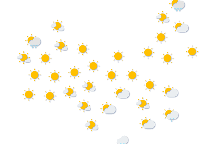 Forecast