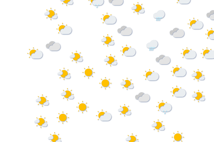 Forecast