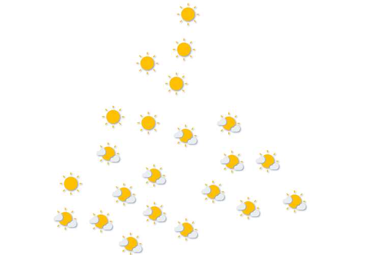 Forecast