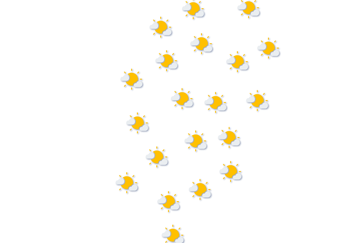 Forecast